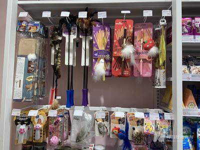 宠物用品公司冲刺A股 贴牌出口占主导，过半狗绳依赖外协生产