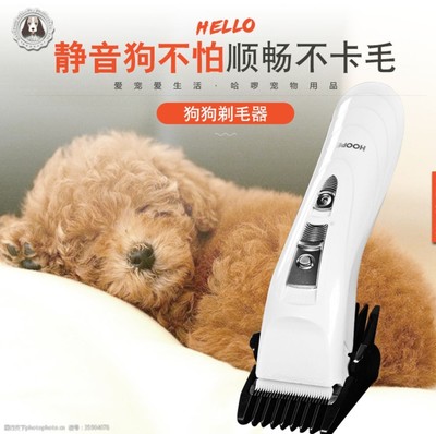 宠物用品 提升爱宠生活品质的必备选择