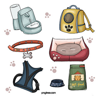 宠物用品新风尚 狗狗彩绘与猫咪用品的完美结合