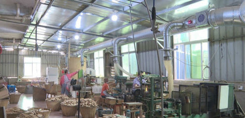 泉港 上门服务精准赋能，助力宠物用品外贸企业稳健增长