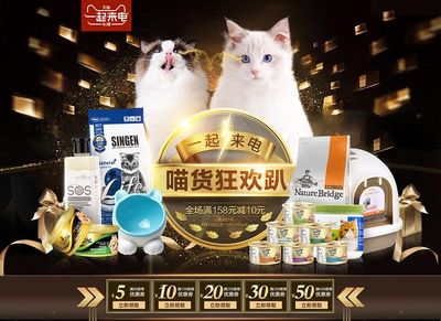 宠物用品 关爱伴侣的温馨选择