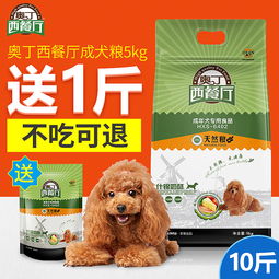 宠物用品电商视觉营销策略 主图、直通车图与钻展图的设计与优化